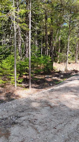 $59,500 | Lot 2 Nh Rte 4a, Enfield, NH 03748