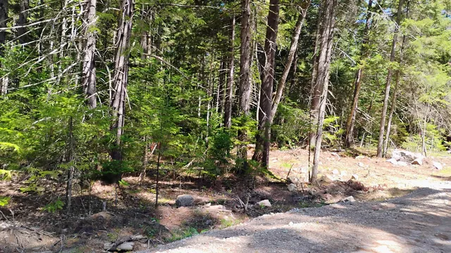 $59,500 | Lot 2 Nh Rte 4a, Enfield, NH 03748