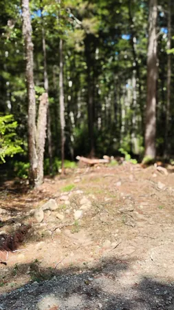 $59,500 | Lot 2 Nh Rte 4a, Enfield, NH 03748