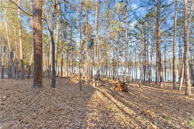 $1,150,000 | 287 Spring Branch Circle, Toccoa, GA 30577