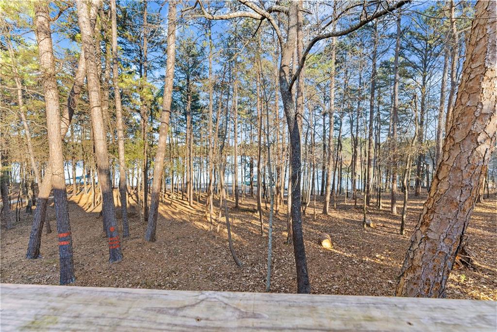 287 Spring Branch Circle Toccoa, GA 30577 - Photo 47 of 75