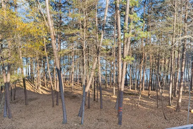 $1,150,000 | 287 Spring Branch Circle, Toccoa, GA 30577