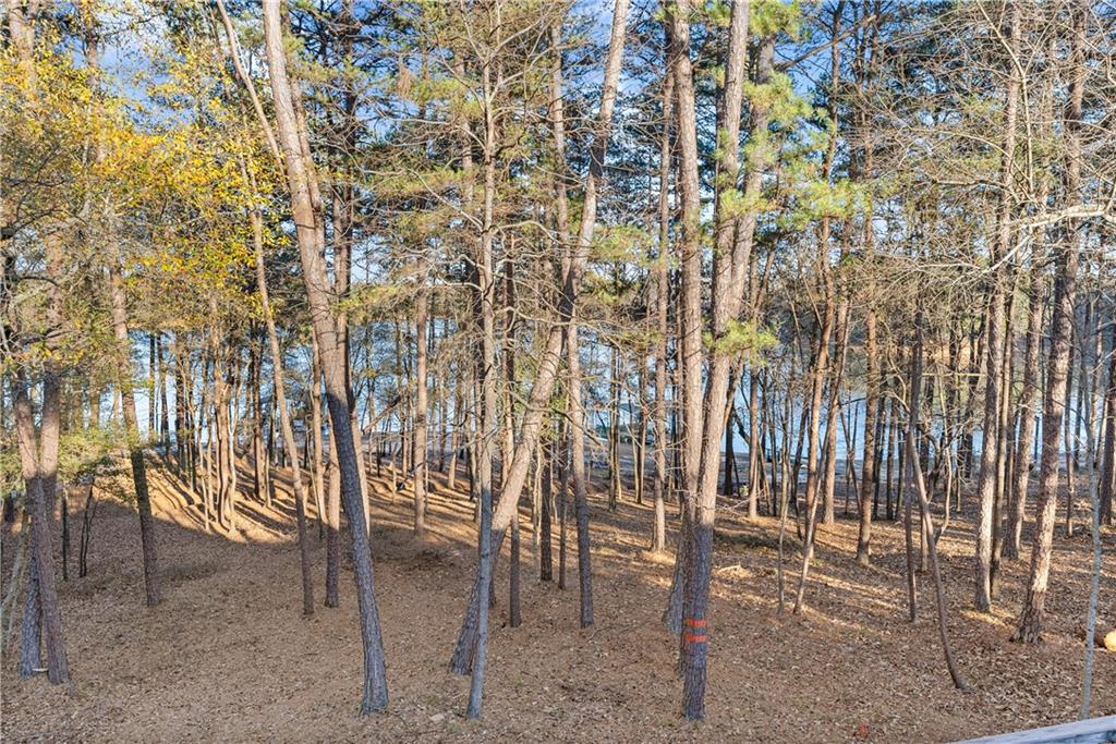 287 Spring Branch Circle Toccoa, GA 30577 - Photo 50 of 75 a view of outdoor space