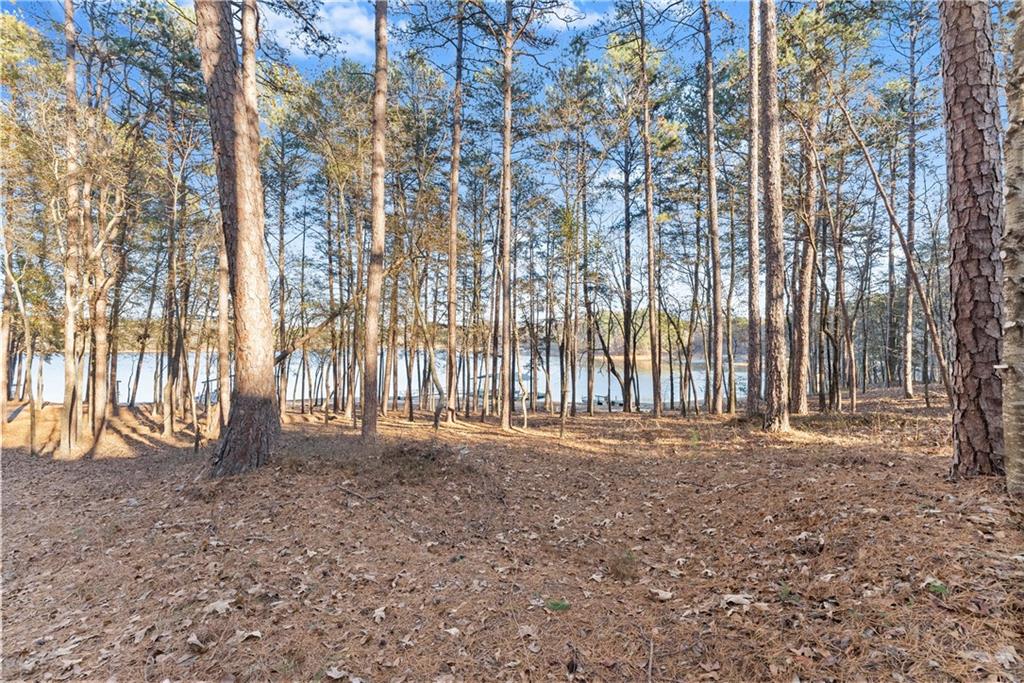 287 Spring Branch Circle Toccoa, GA 30577 - Photo 53 of 75