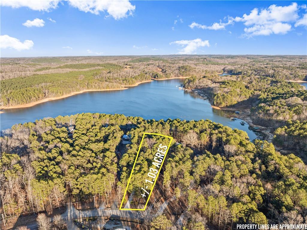 287 Spring Branch Circle Toccoa, GA 30577 - Photo 65 of 75