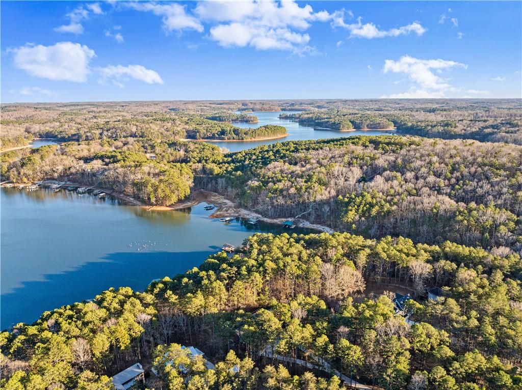 287 Spring Branch Circle Toccoa, GA 30577 - Photo 67 of 75