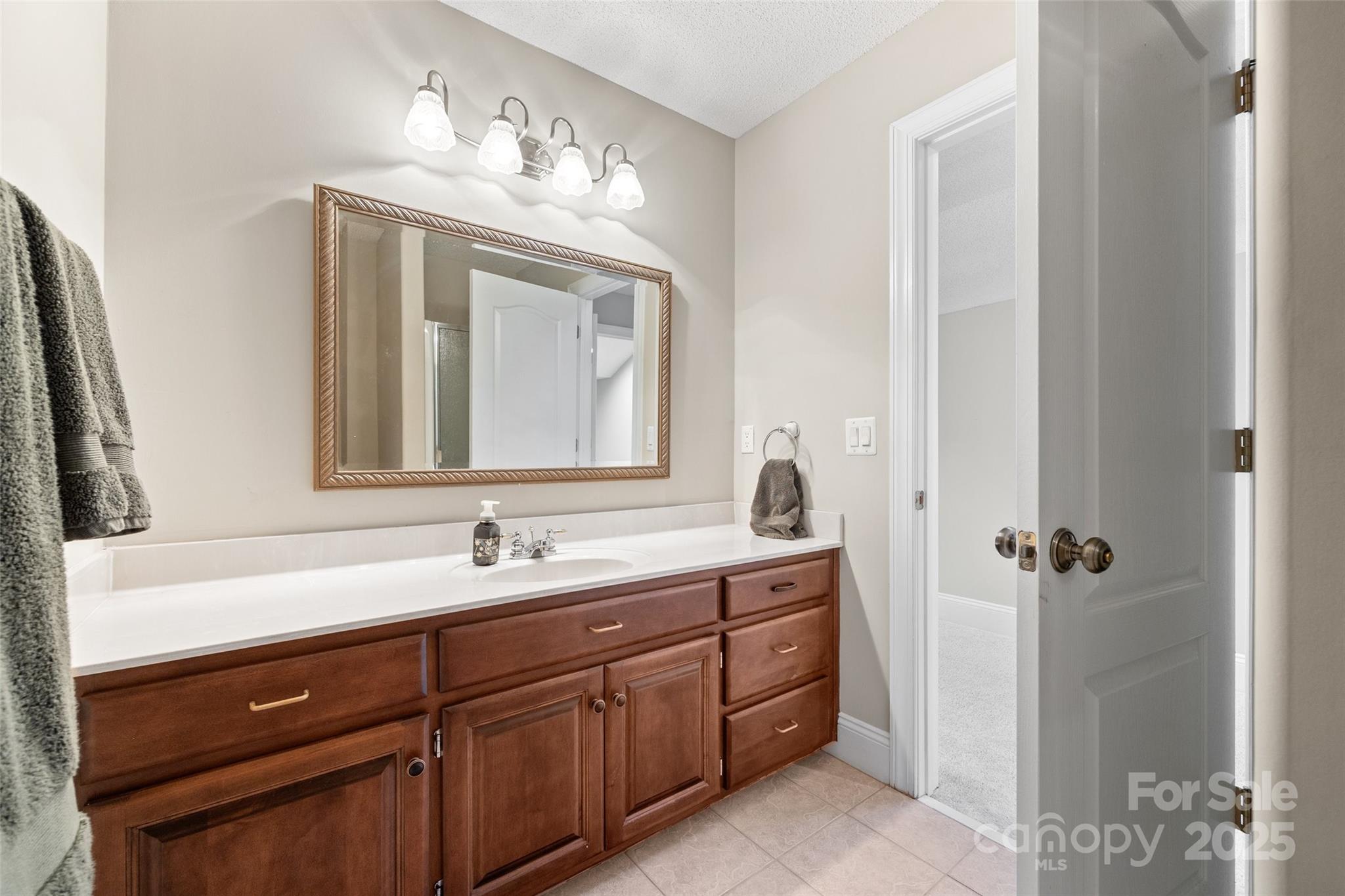 3559 Nestling Lane Fort Mill, SC 29708 - Photo 29 of 42 a bathroom with a double vanity sink and mirror with shower