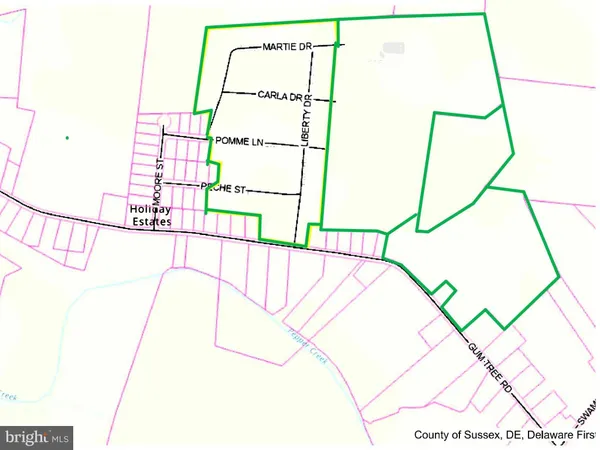 $1,500,000 | Gum Tree Road, Dagsboro, DE 19939