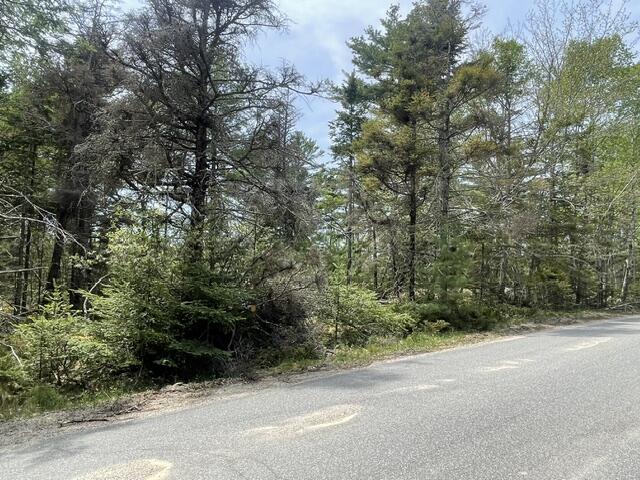 0 Reach Road Deer Isle, ME 04627 - Photo 7 of 8 IMG_7422