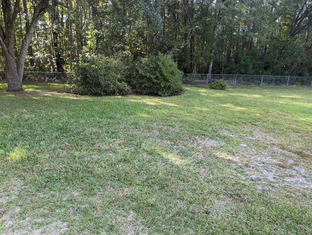207 Triver Drive Moncks Corner, SC 29461 - Photo 3 of 18 4