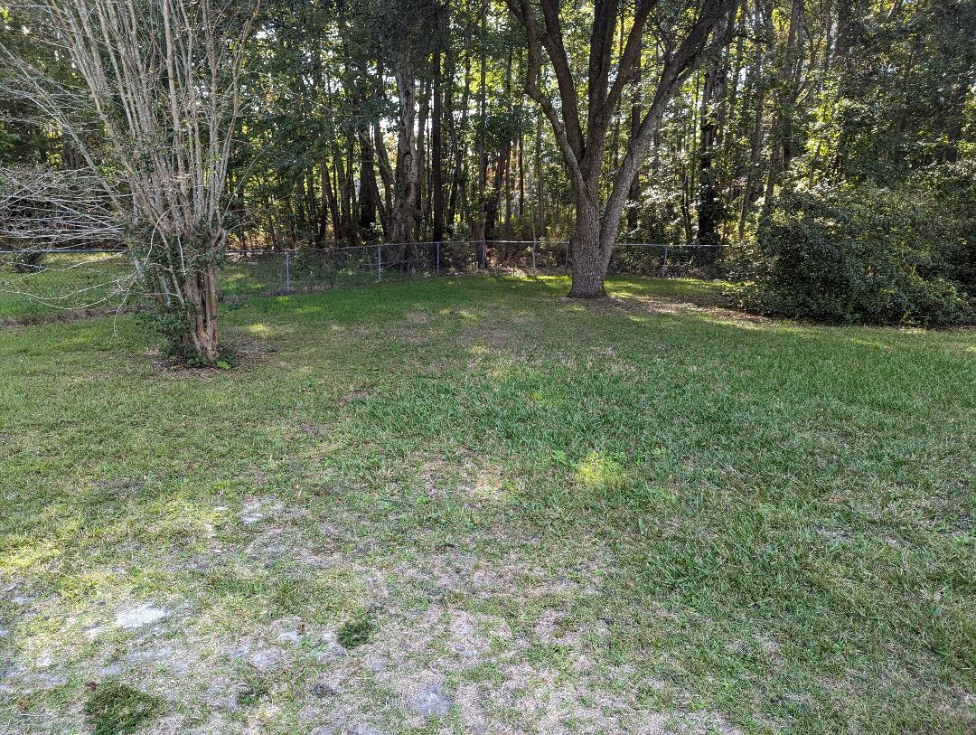 207 Triver Drive Moncks Corner, SC 29461 - Photo 4 of 18 5