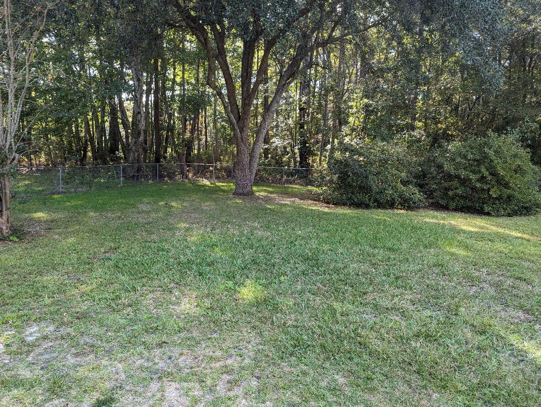 207 Triver Drive Moncks Corner, SC 29461 - Photo 5 of 18 7