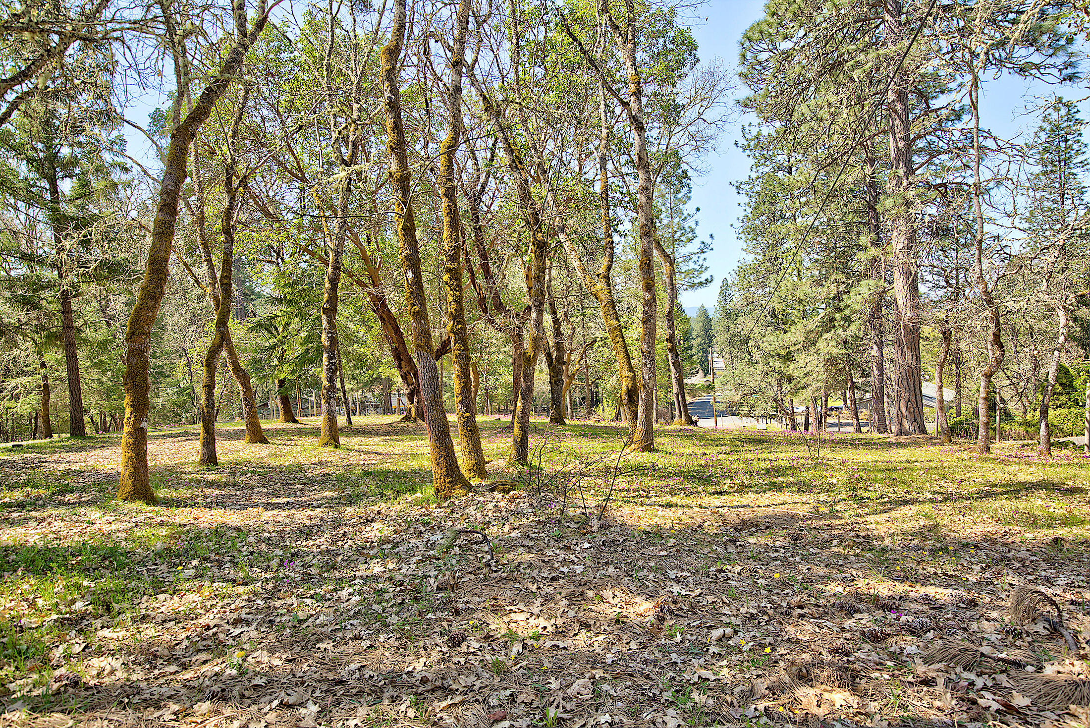 575 South Espey Road Grants Pass, OR 97527 - Photo 45 of 47 047espey