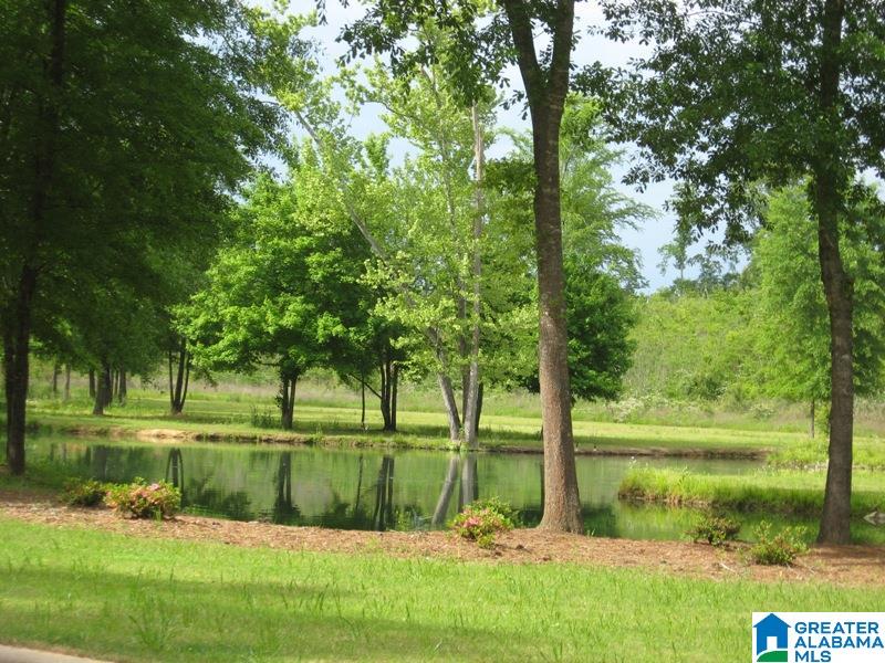 178 Olde Springs Road, Unit 24 Anniston, AL 36207 - Photo 12 of 37