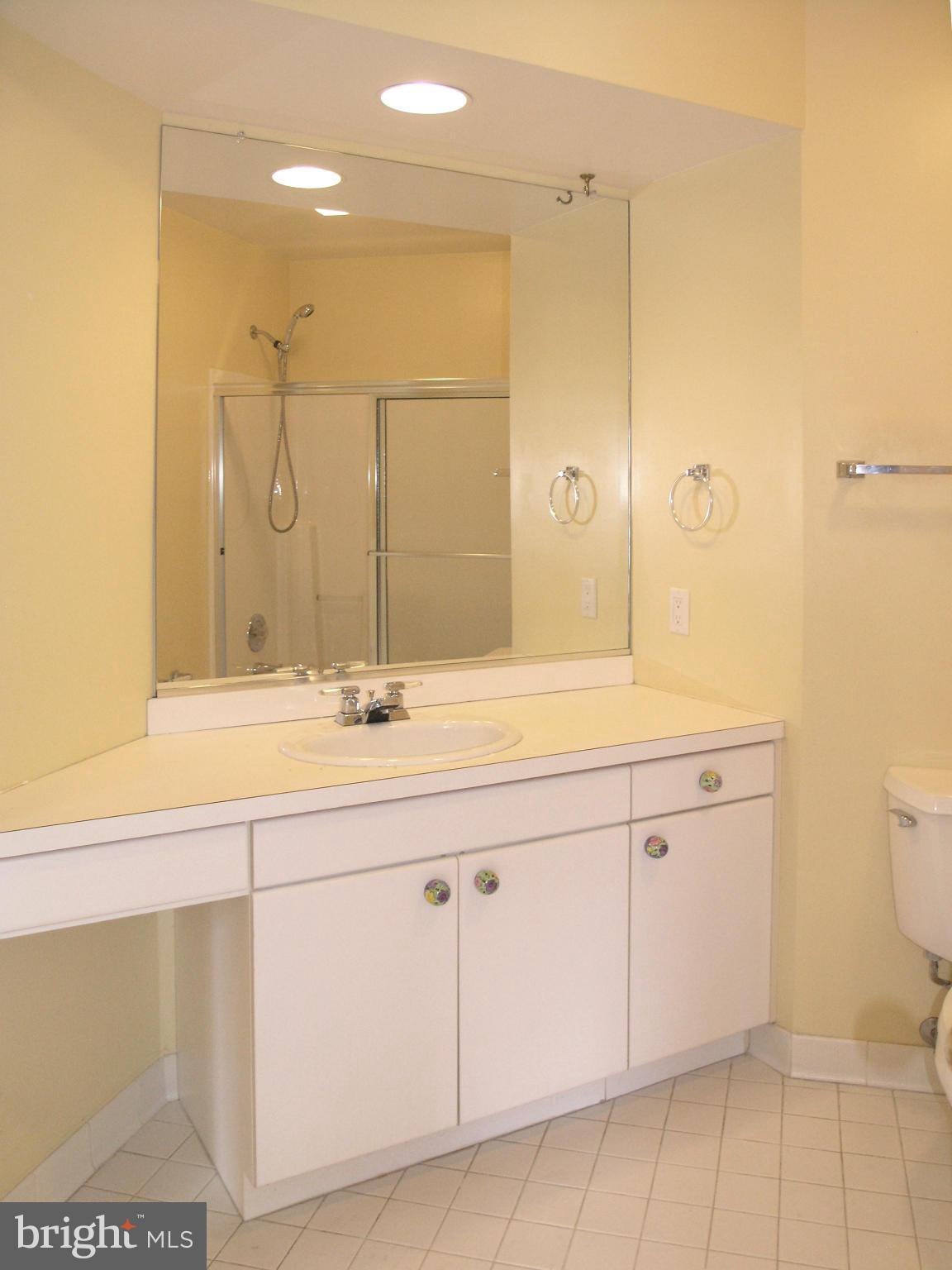 11555 Hemingway Drive Reston, VA 20194 - Photo 20 of 26 a bathroom with a sink and a mirror