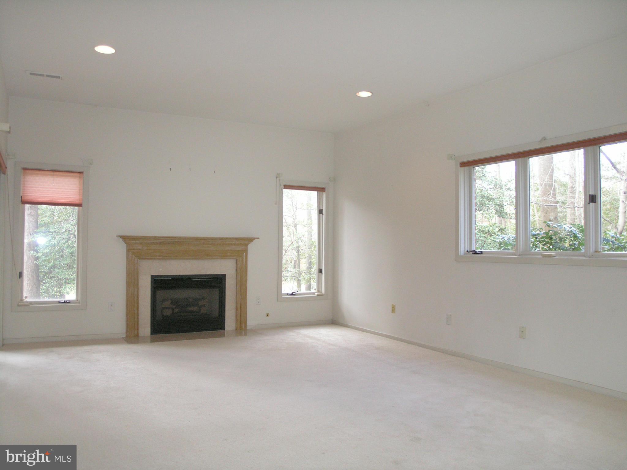 11555 Hemingway Drive Reston, VA 20194 - Photo 24 of 26 an empty room with a fireplace and windows