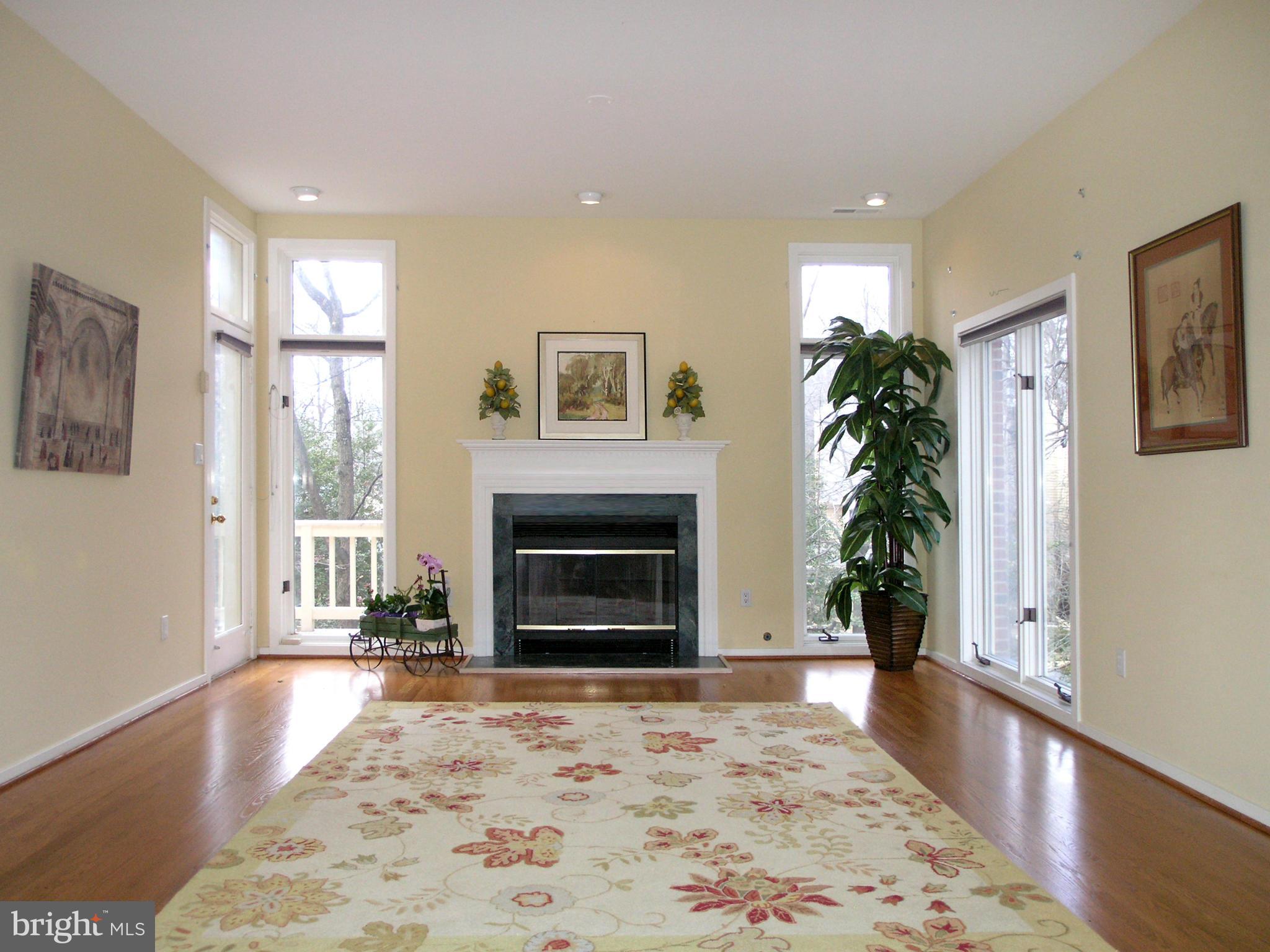 11555 Hemingway Drive Reston, VA 20194 - Photo 6 of 26 a living room with a fireplace and potted plants with wooden floor