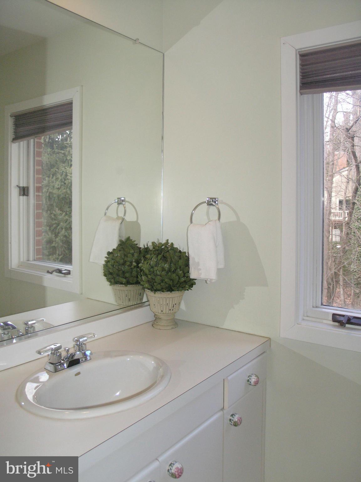 11555 Hemingway Drive Reston, VA 20194 - Photo 8 of 26 a bathroom with a sink and a mirror