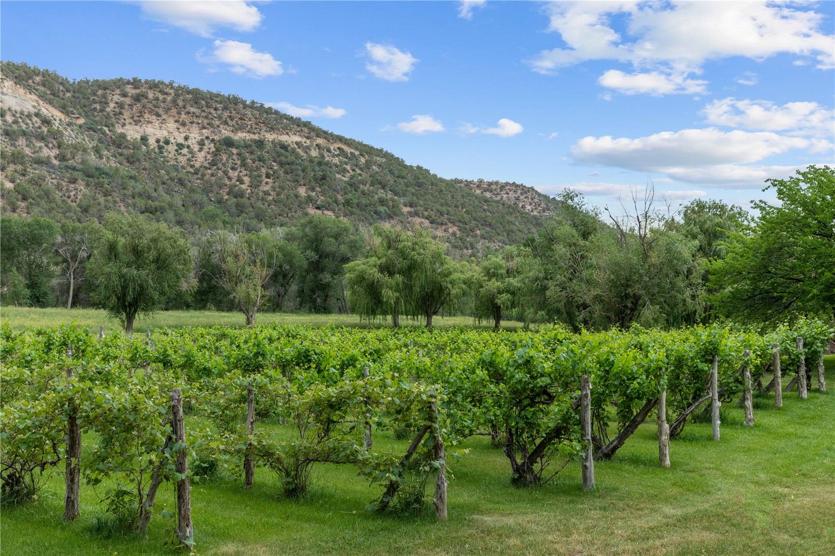 34074 Fruitland Mesa Road Crawford, CO 81415 - Photo 40 of 50