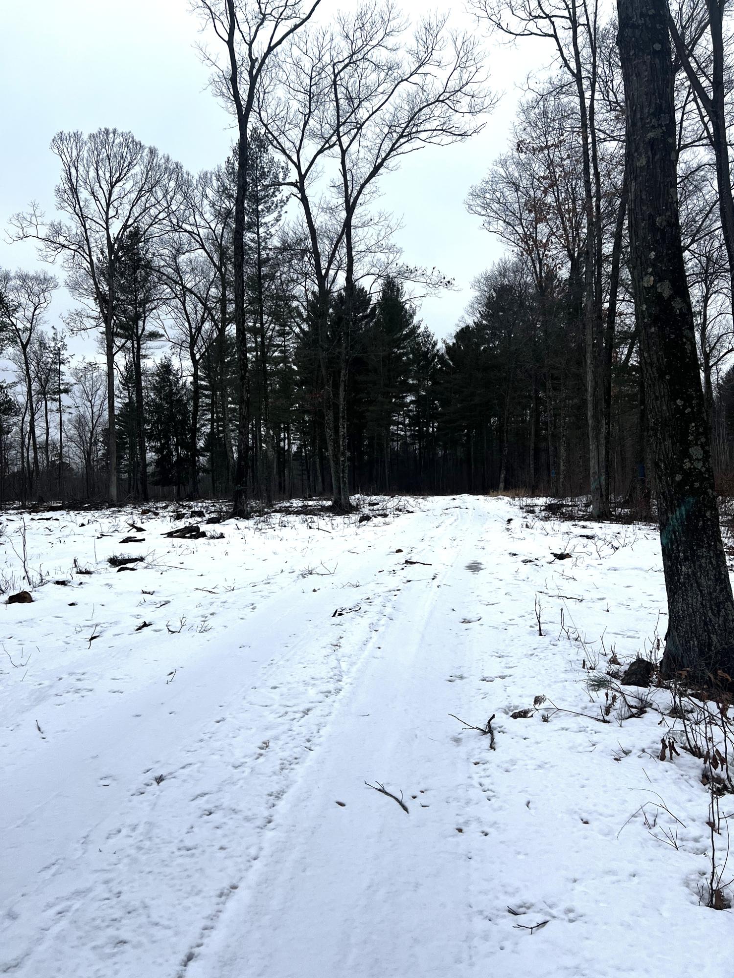 St-johns St Johns Road Mosinee, WI 54455 - Photo 1 of 10 Gallery Image 1