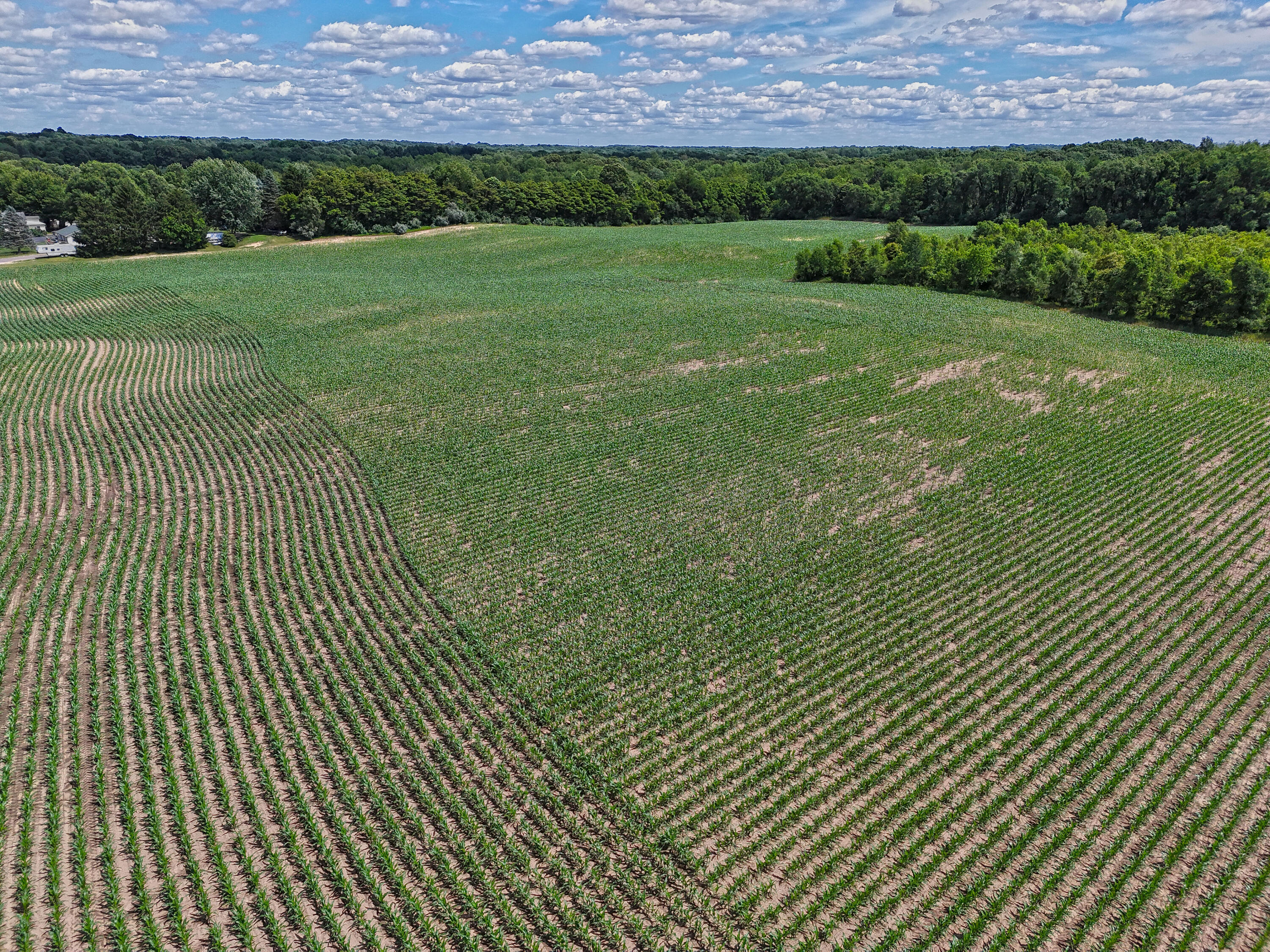 Territorial Road, Unit 5 75 Benton Harbor, MI 49022 - Photo 10 of 11 DJI_20260615162854_0674_D