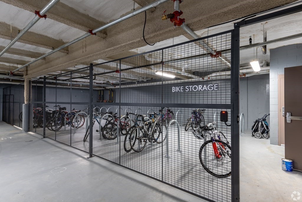 77 New Street, Unit 207 Cambridge, MA 02138 - Photo 8 of 10 a view of bike storage