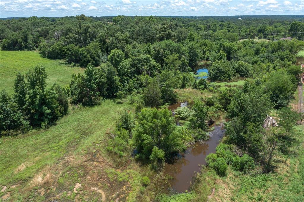 64 State Highway 64 Canton, TX 75103 - Photo 13 of 25 a view of a forest with a street
