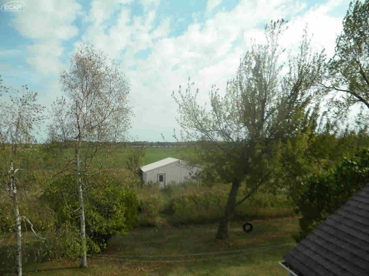 3758 North Baldwin Road Owosso, MI 48867 - Photo 71 of 89 21379476-70.JPG