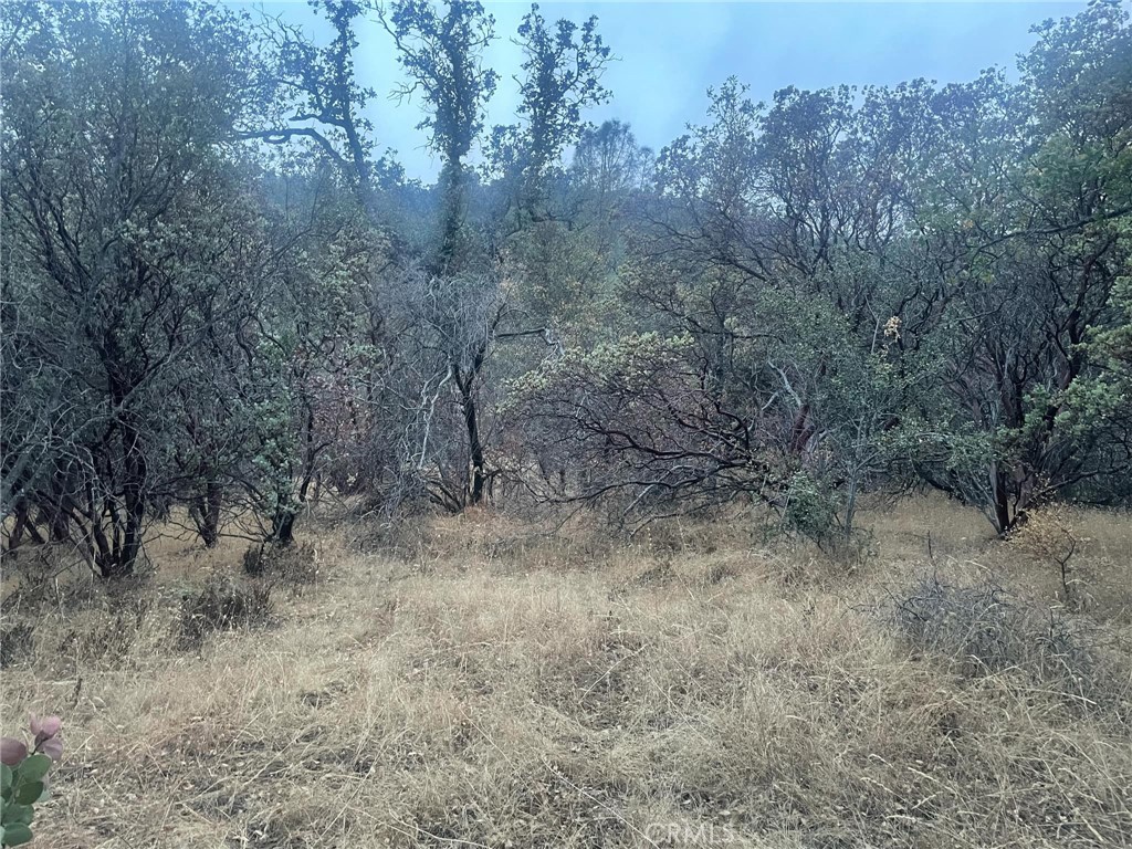 43020 Apache Ranch Road Ahwahnee, CA 93601 - Photo 12 of 19