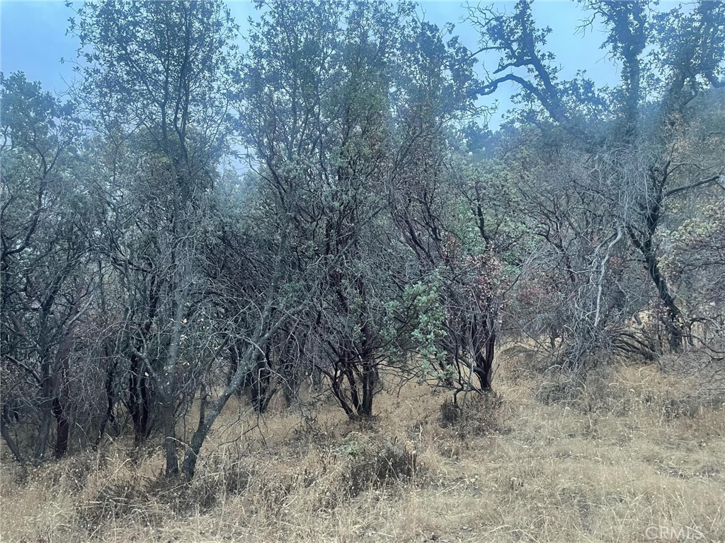 43020 Apache Ranch Road Ahwahnee, CA 93601 - Photo 13 of 19