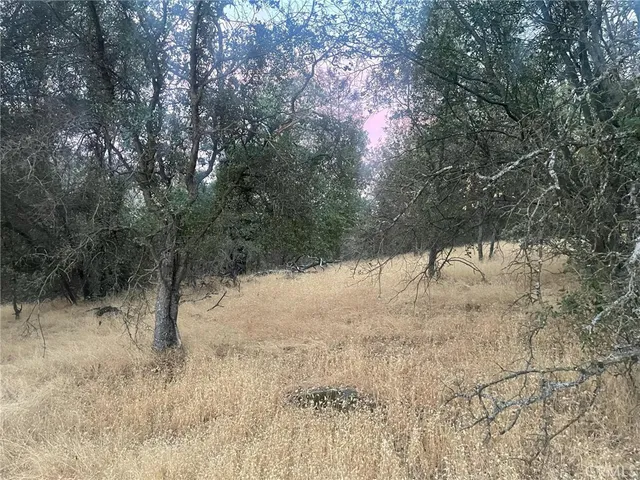 $70,000 | 43020 Apache Ranch Road, Ahwahnee, CA 93601