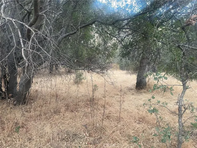 $70,000 | 43020 Apache Ranch Road, Ahwahnee, CA 93601