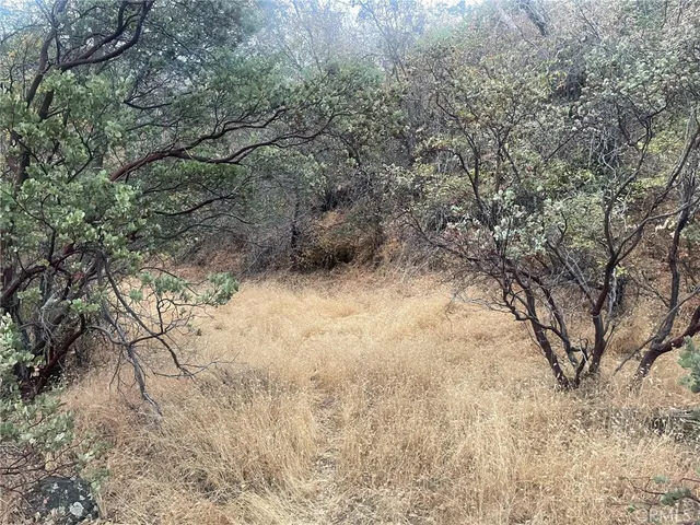 $70,000 | 43020 Apache Ranch Road, Ahwahnee, CA 93601