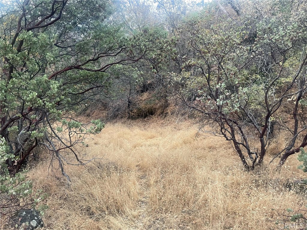 43020 Apache Ranch Road Ahwahnee, CA 93601 - Photo 7 of 19