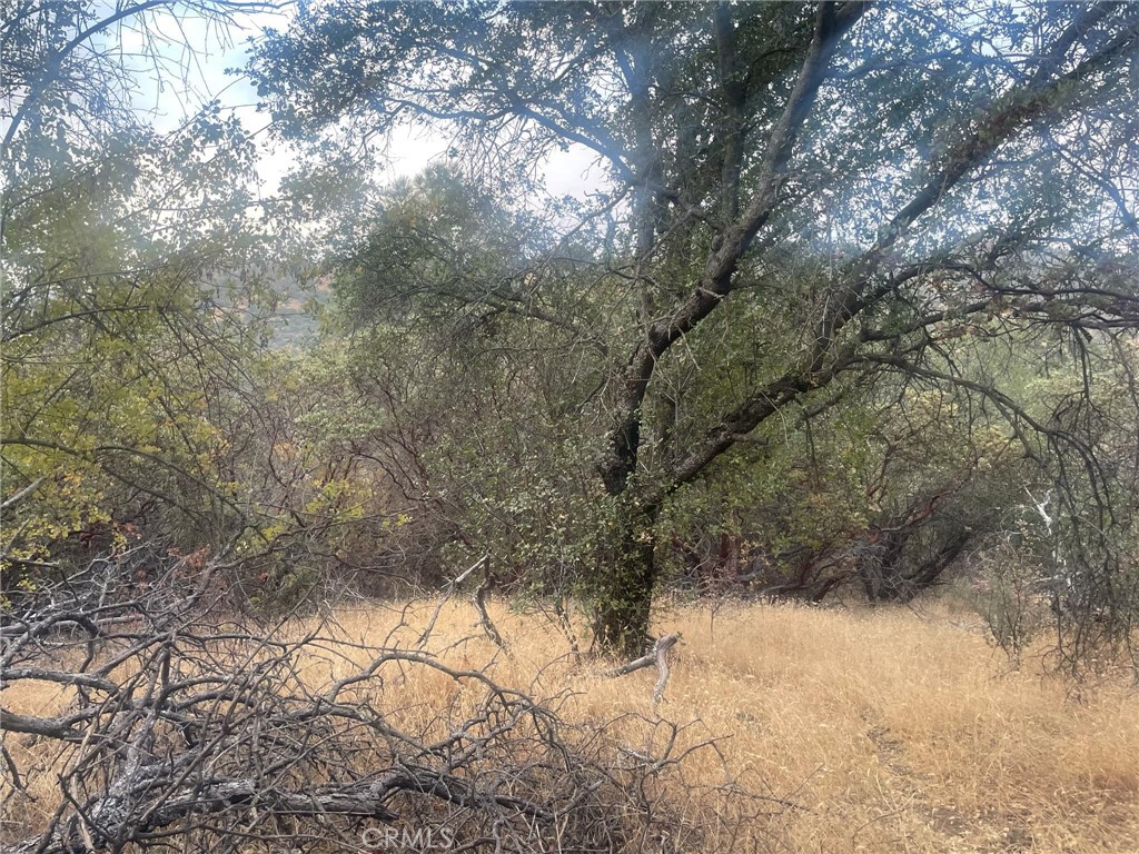 43020 Apache Ranch Road Ahwahnee, CA 93601 - Photo 9 of 19