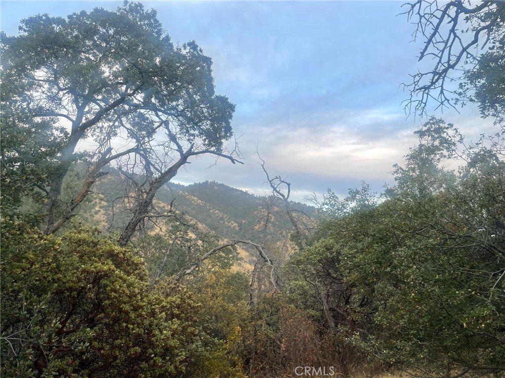 43020 Apache Ranch Road Ahwahnee, CA 93601 - Photo 10 of 19