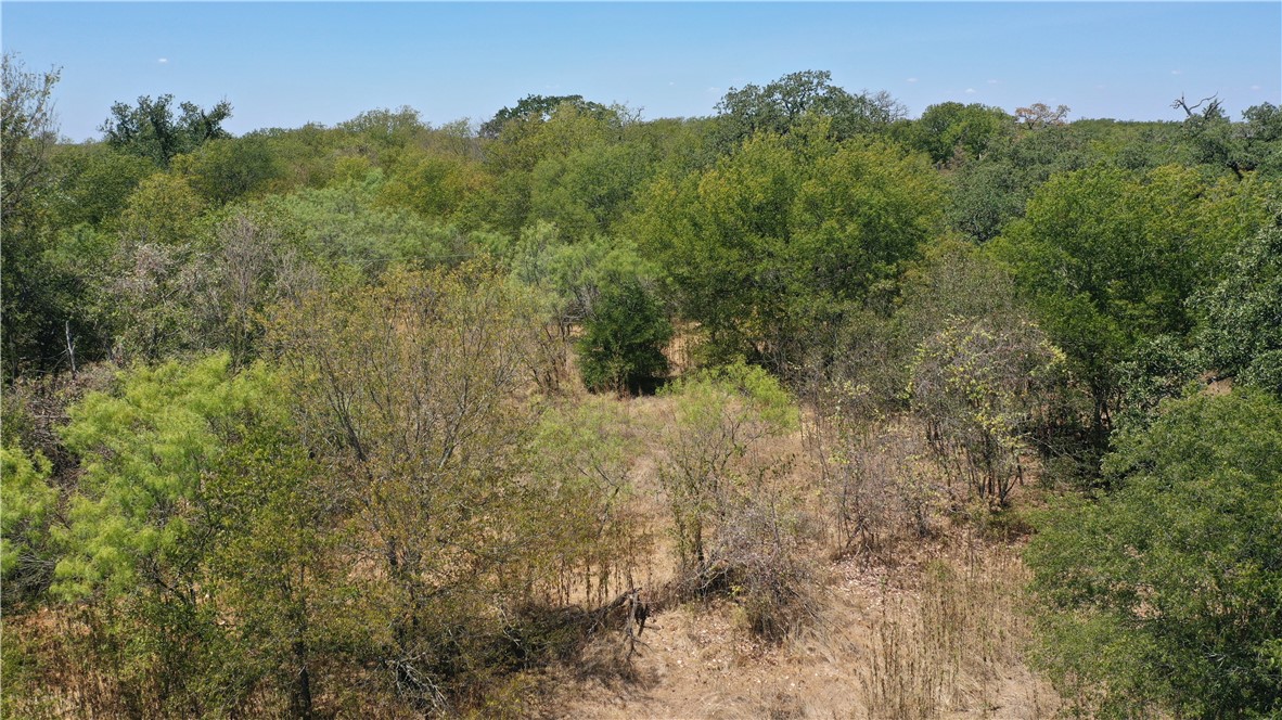320 Rocket Road West Lorena, TX 76655 - Photo 7 of 13 a view of a lush green forest with lots of trees