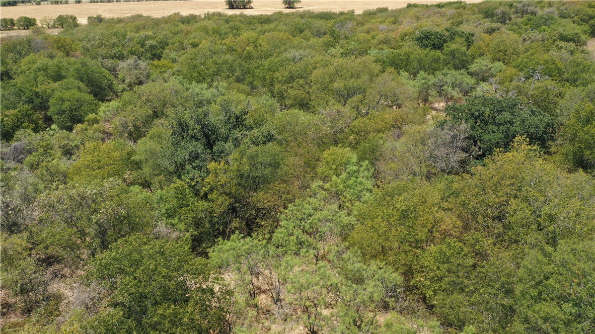 320 Rocket Road West Lorena, TX 76655 - Photo 8 of 13 a view of a field of grass and trees