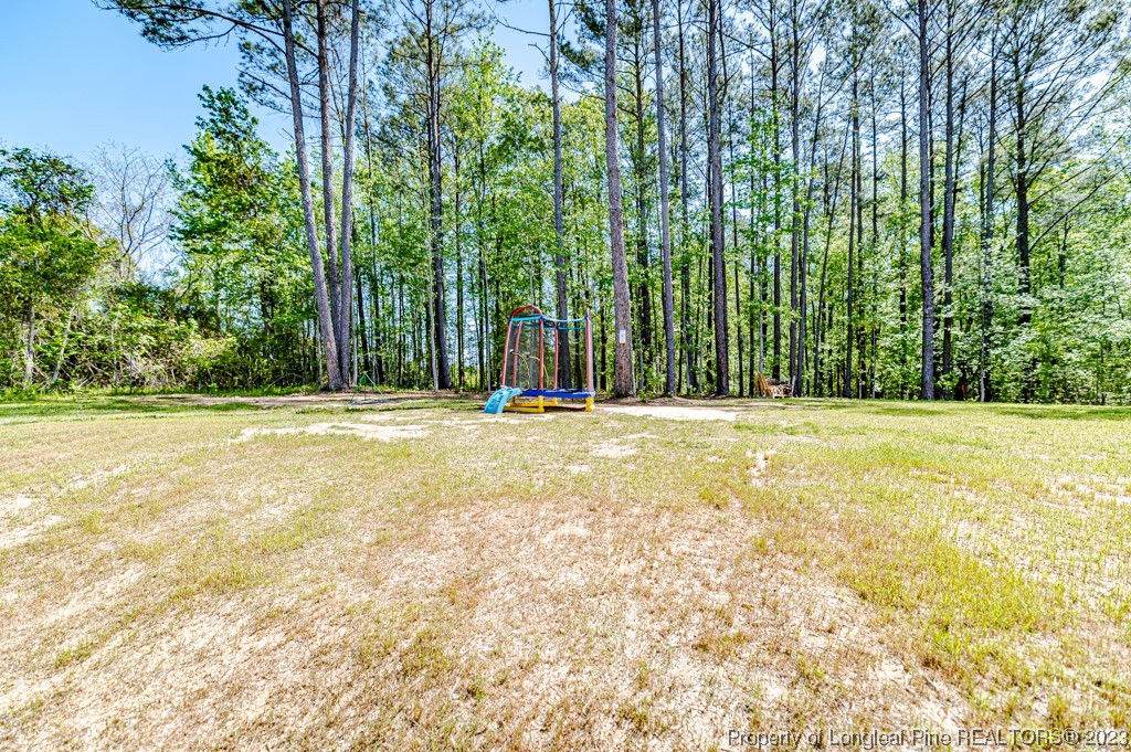 2919 Wire Road Erwin, NC 28339 - Photo 40 of 43 Gallery Image 40