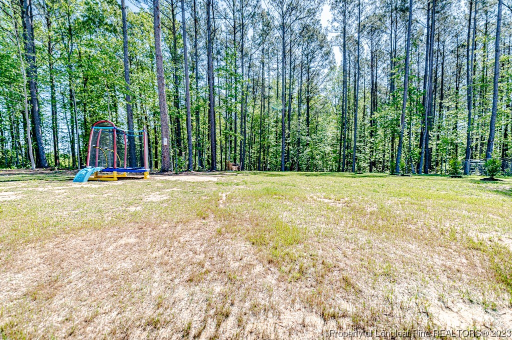 2919 Wire Road Erwin, NC 28339 - Photo 41 of 43 Gallery Image 41
