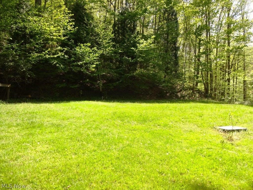 148 Tea Berry Hollow Road Maysel, WV 25133 - Photo 25 of 31