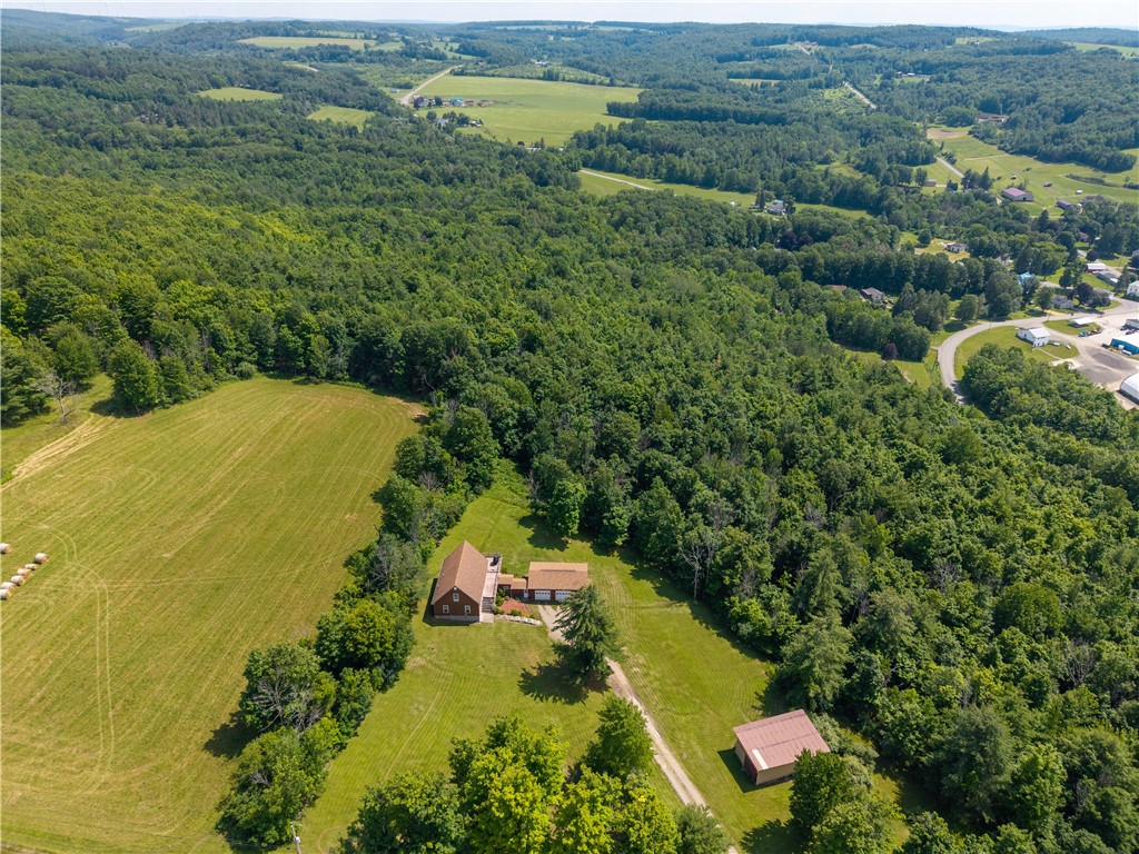1560 Day Road Dansville, NY 14807 - Photo 4 of 50
