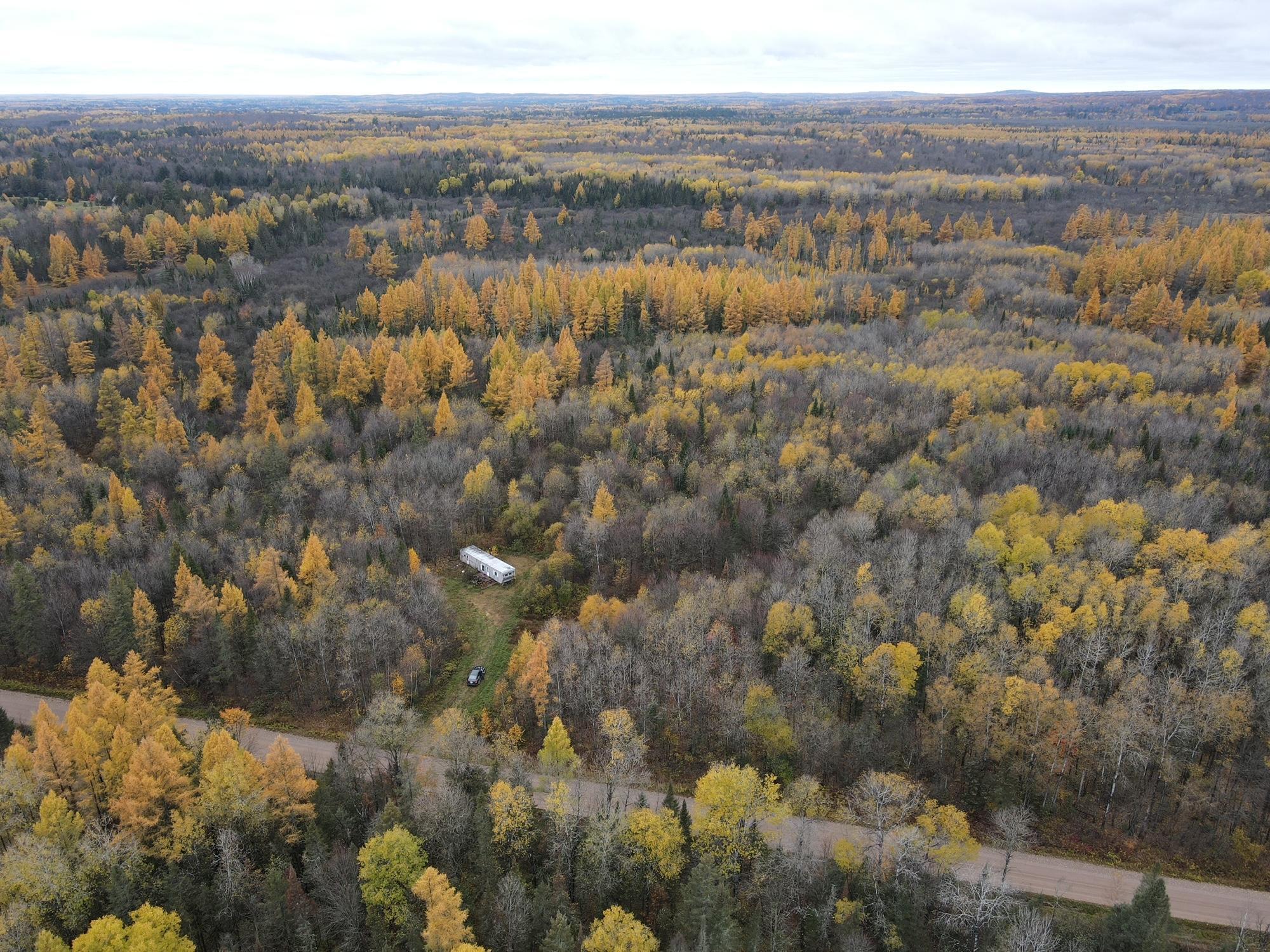 Tbd County Line Road Gleason, WI 54435 - Photo 1 of 1 Gallery Image 1