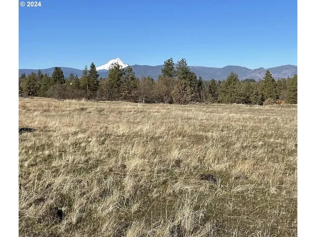 a view of a dry yard with trees