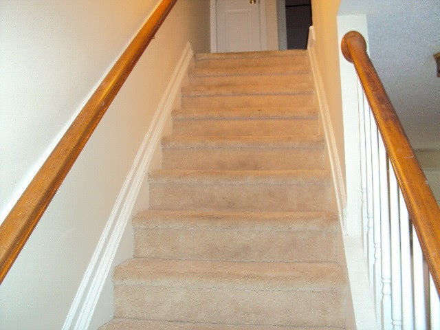 3313 Daingerfield Drive Raleigh, NC 27616 - Photo 18 of 29 Photo 18