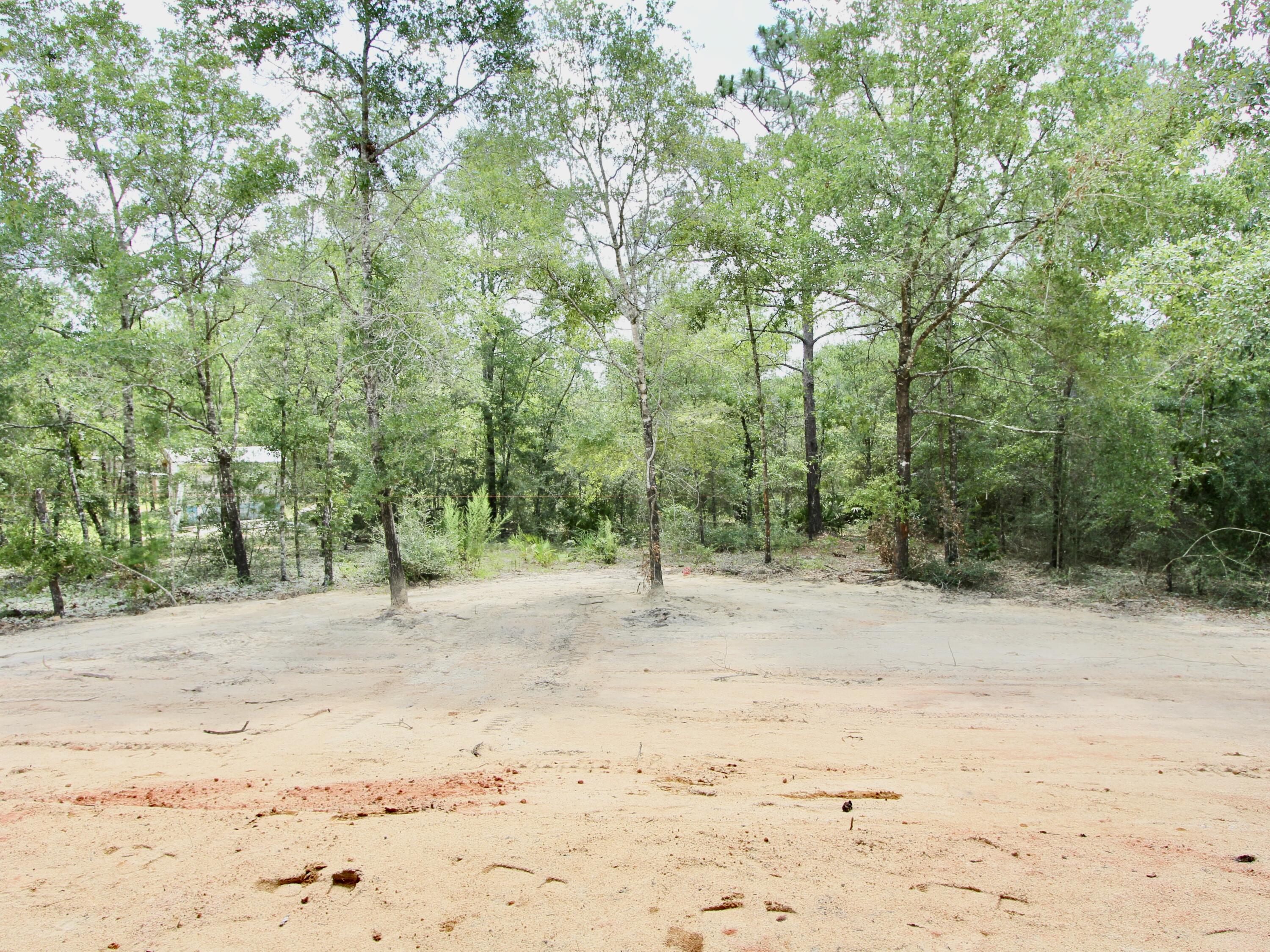 376 West Michaelangelo Road DeFuniak Springs, FL 32433 - Photo 11 of 28 IMG_8425