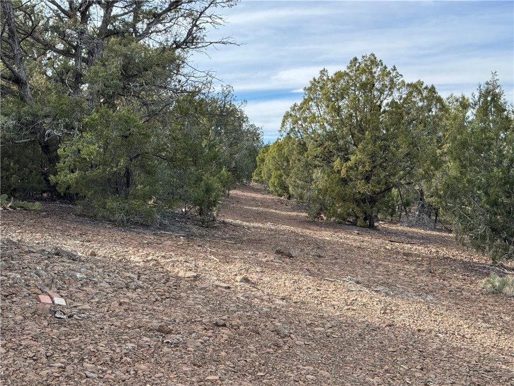 34745 West Running Shadow Road Seligman, AZ 86337 - Photo 6 of 52