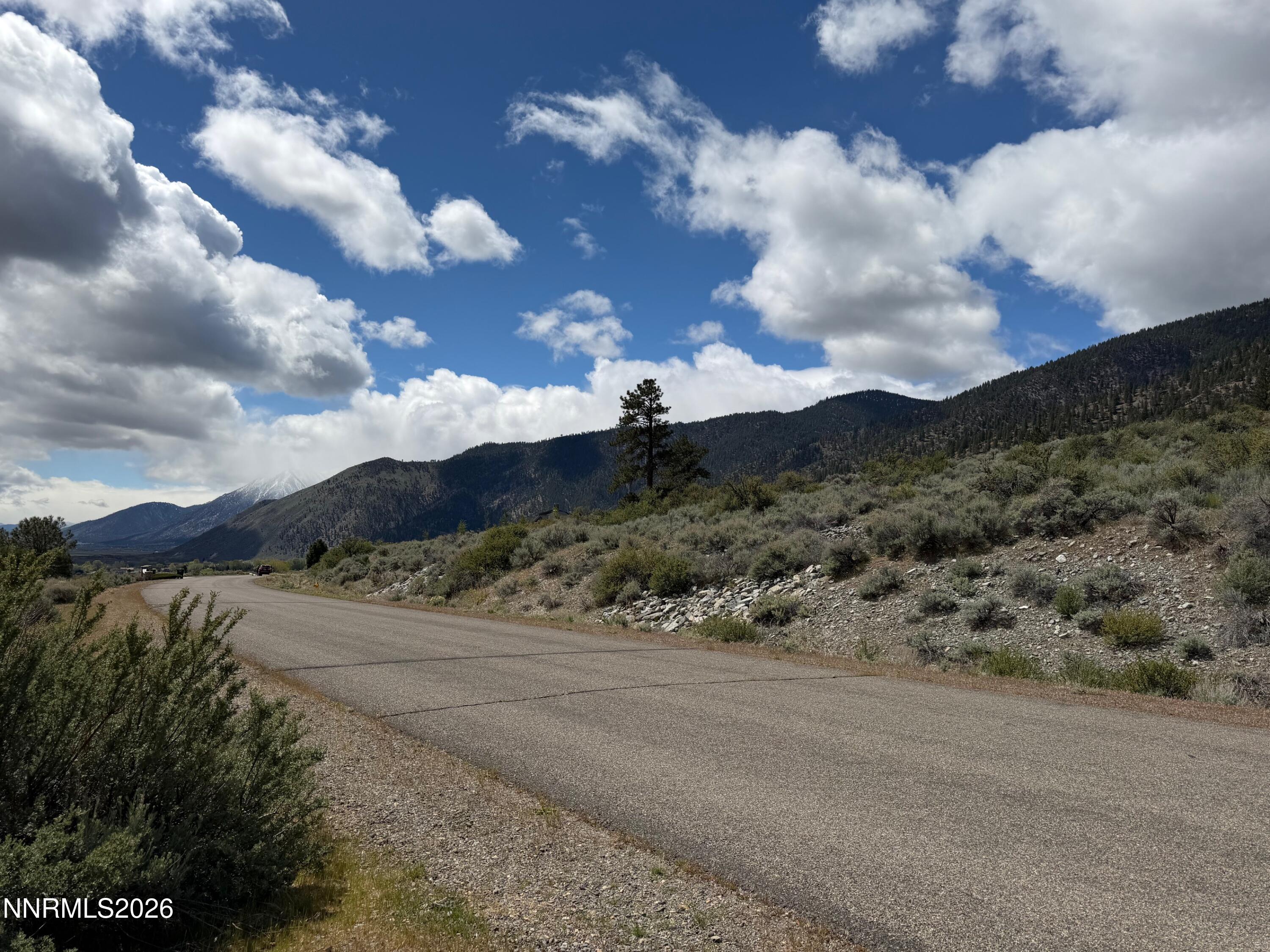 2527 Eagle Ridge Road, Unit LOT 41 Genoa, NV 89411 - Photo 2 of 8 a view of a city with green walls