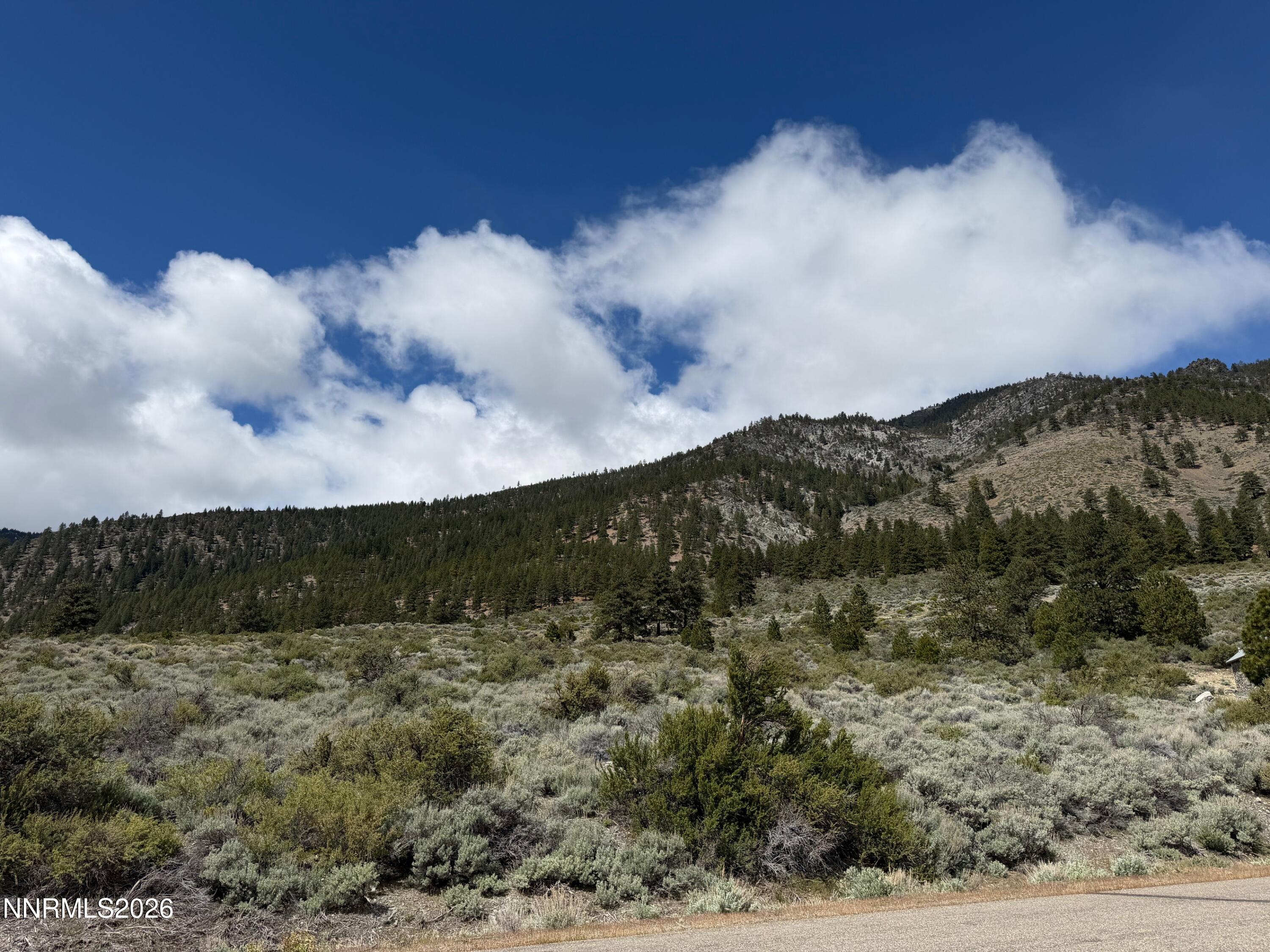 2527 Eagle Ridge Road, Unit LOT 41 Genoa, NV 89411 - Photo 5 of 8 a view of a lake