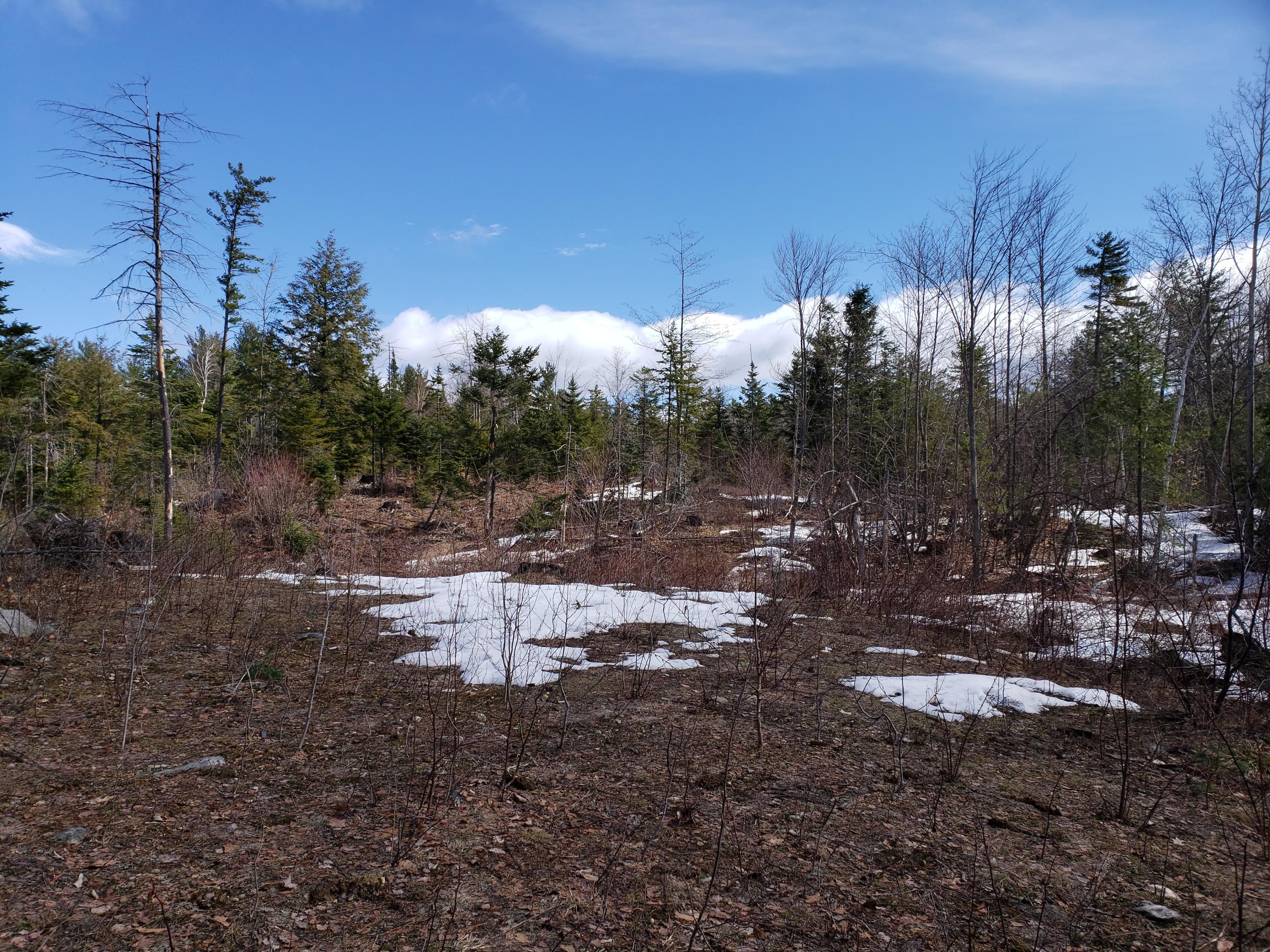 Tbd Lomie Rivers Road Jay, ME 04239 - Photo 10 of 30 20190416_101218
